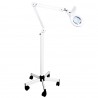 Lampe loupe d'examen à LED Vera 4 W sur pied roulant distribuée par Nussbaum Médical