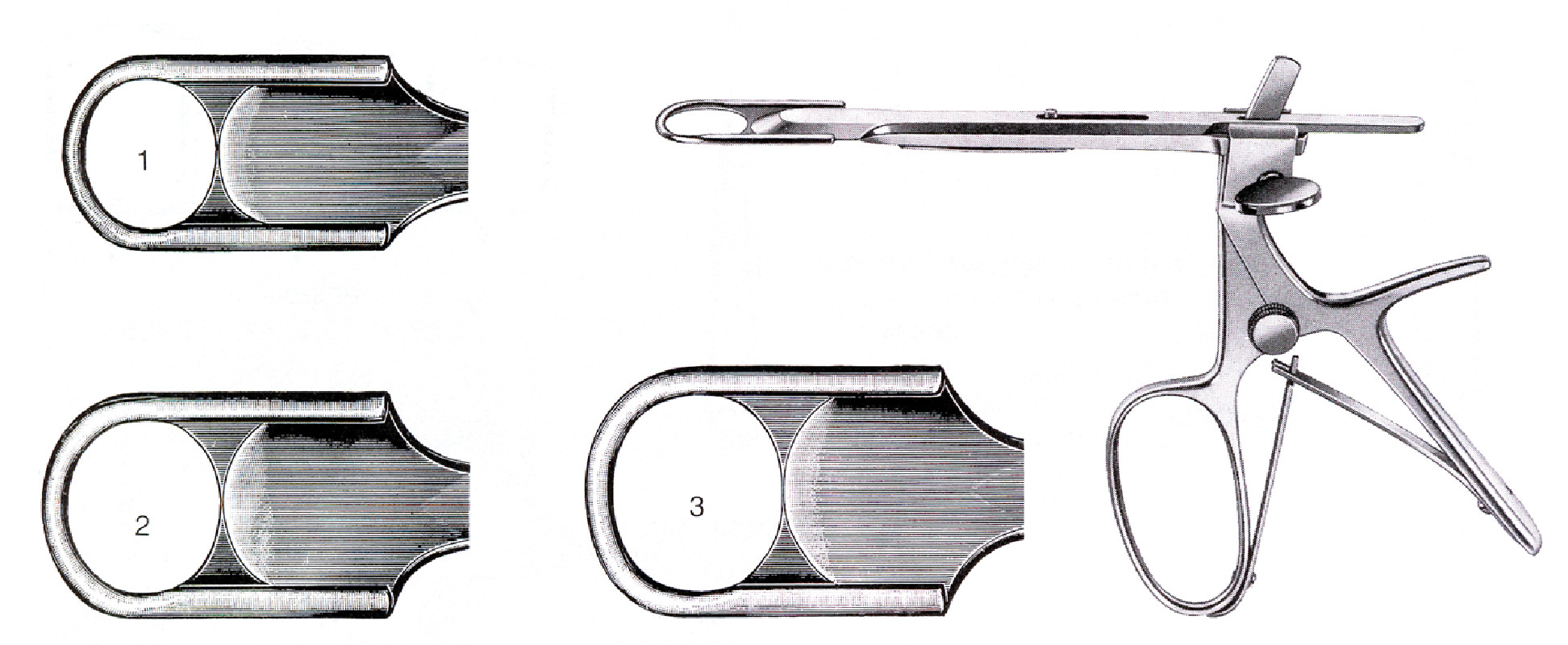 Amygdalotome Sluder Ballenger