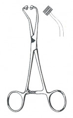 Pince à Champs Peers