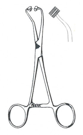 Pince à Champs Peers