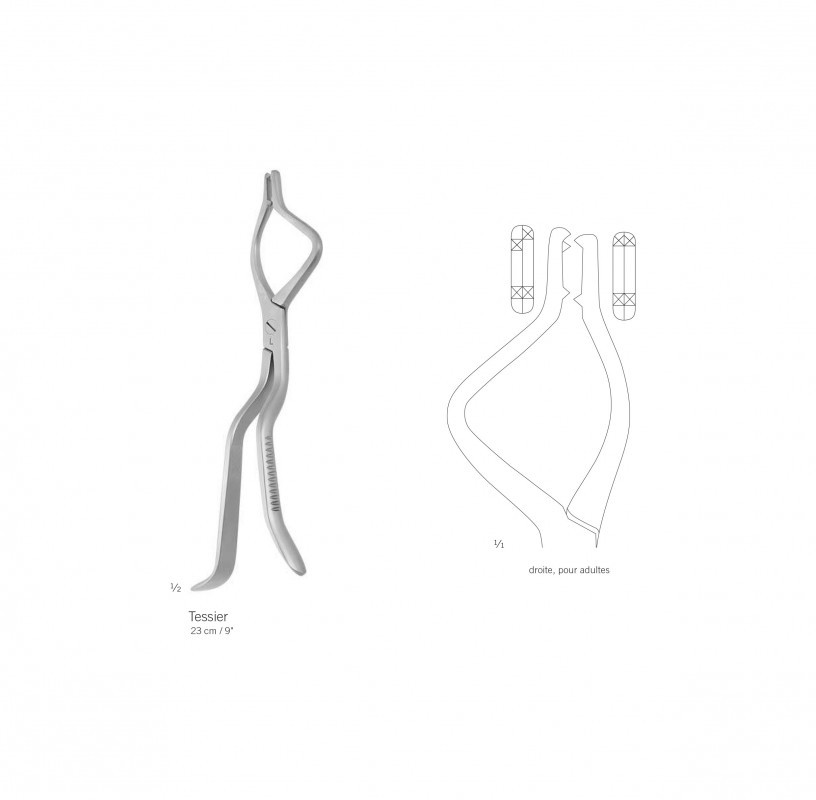 Pince à reposition de Tessier 23 cm, à droite, pour adulte