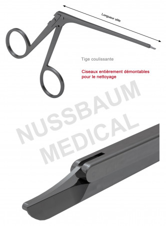 Ciseaux auriculaires Bellucci