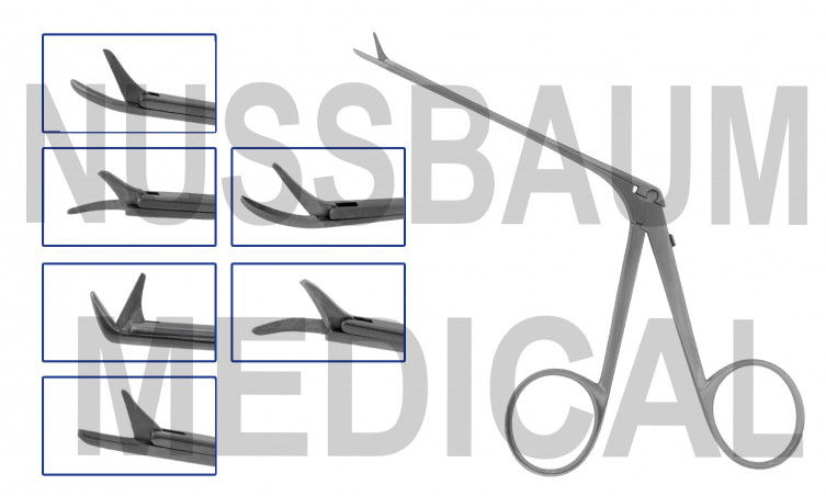 Ciseaux Bellucci, tailles et références, distribué par Nussbaum Médical