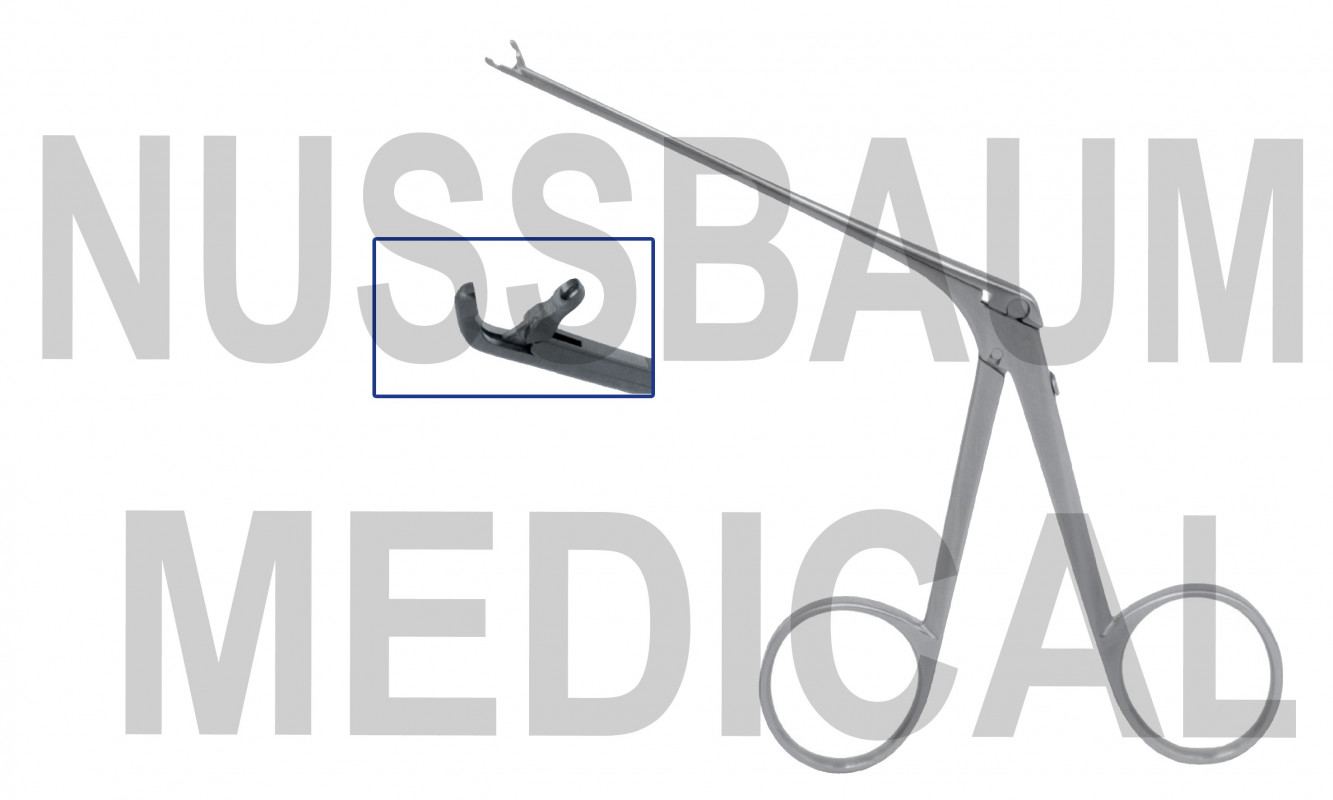 Micro-Pince auriculaire Hartmann Courbe Cuillères Rondes