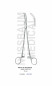 Pince de Moynihan 23 cm Sans Griffes