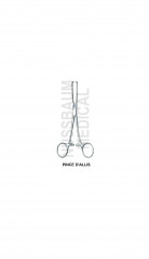 Pince Allis distribuée par Nussbaum Médical
