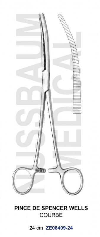 Pince Spencer-Wells Courbe 24 cm