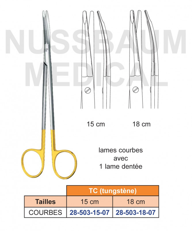 Ciseaux de Kaye TC courbes avec 1 lame dentée