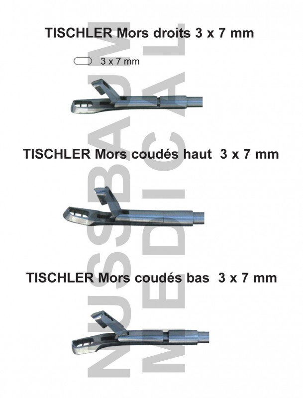 Tischler pince à biopsie orientable et démontable