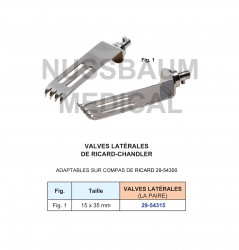 Valves Latérales de Ricard-Chandler