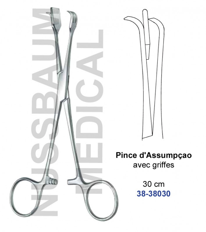 Pince Assumpçao 30 cm avec griffes