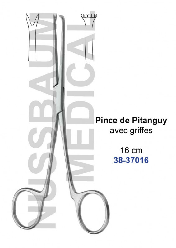 Pince Pitanguy 16 cm avec griffes