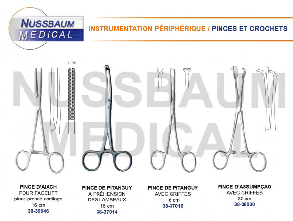 Pince Pitanguy 16 cm avec griffes