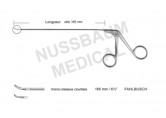 Micro-Ciseaux Courbes de Fahlbuch