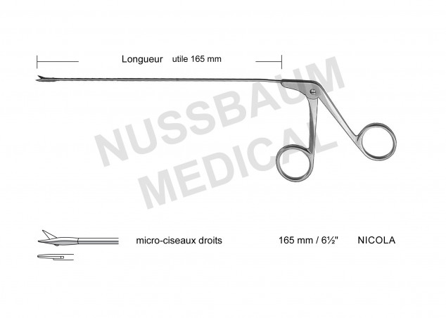 Micro-Ciseaux Droits de Nicola