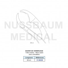 Davier de Verbrugge avec 1 mors denté et 1 mors acéré distribué par Nussbaum Médical
