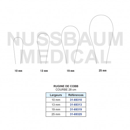 Rugine de Cobb 28 cm