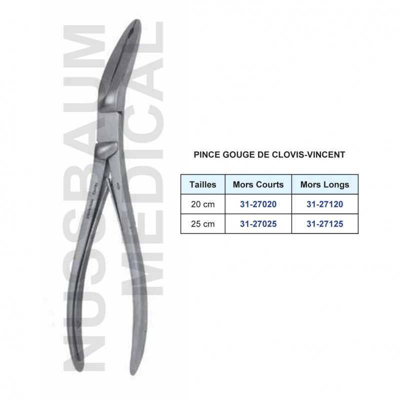 Pince gouge Clovis-Vincent