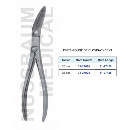 Pince gouge Clovis-Vincent