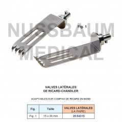 Valves Latérales de Ricard-Chandler