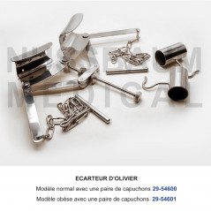 Ecarteur d’Olivier