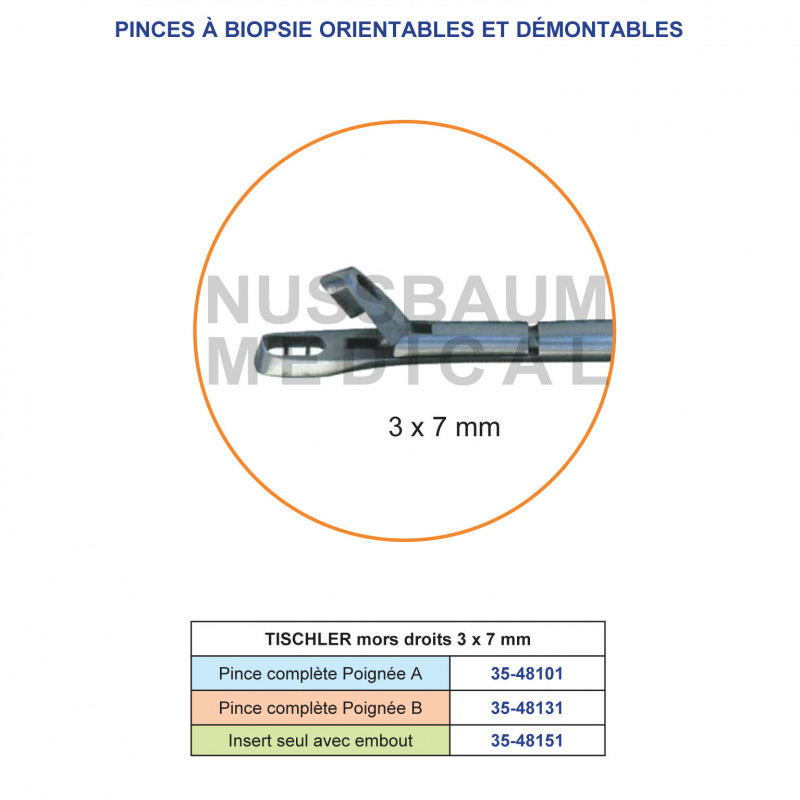 Tischler pince à biopsie orientable et démontable