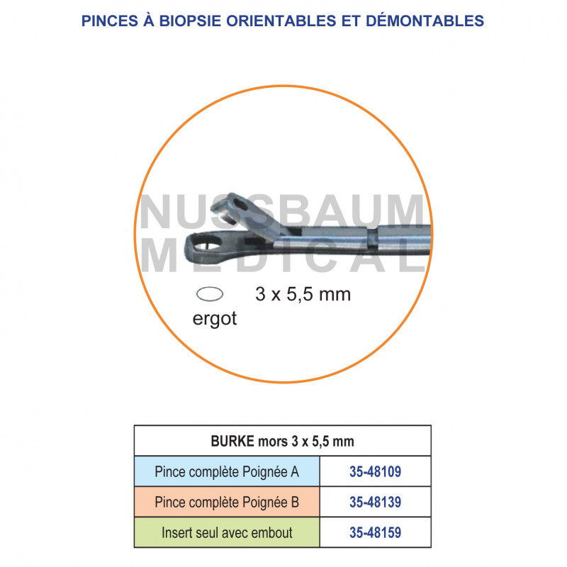 Burke pince à biopsie orientable et démontable Burke pince à biopsie orientable et démontable